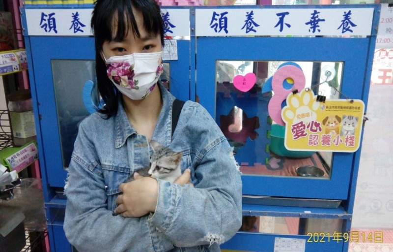 民眾到雅旺動物醫院愛心認養小棧認養貓咪。   圖：新北市動保處提供