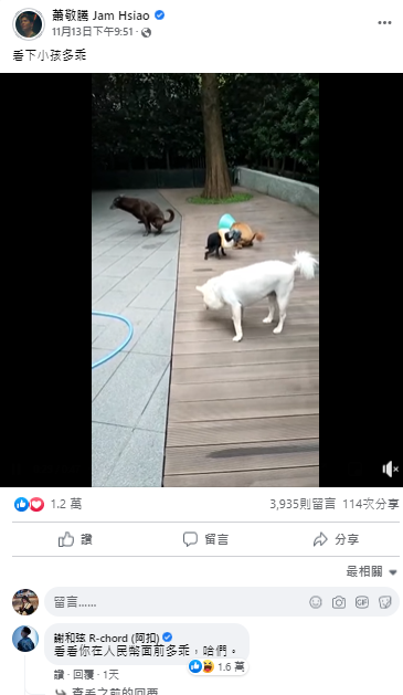 蕭敬騰日前在臉書曬出家中愛犬的影片，沒想到卻引來謝和弦留言開嗆「看看你在人民幣面前多乖」，該則留言吸引1.6萬讚。   圖：翻攝自蕭敬騰臉書