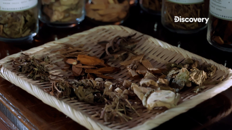 台灣清冠一號是由十種不同植物組成的草藥配方。   圖：Discovery頻道/提供