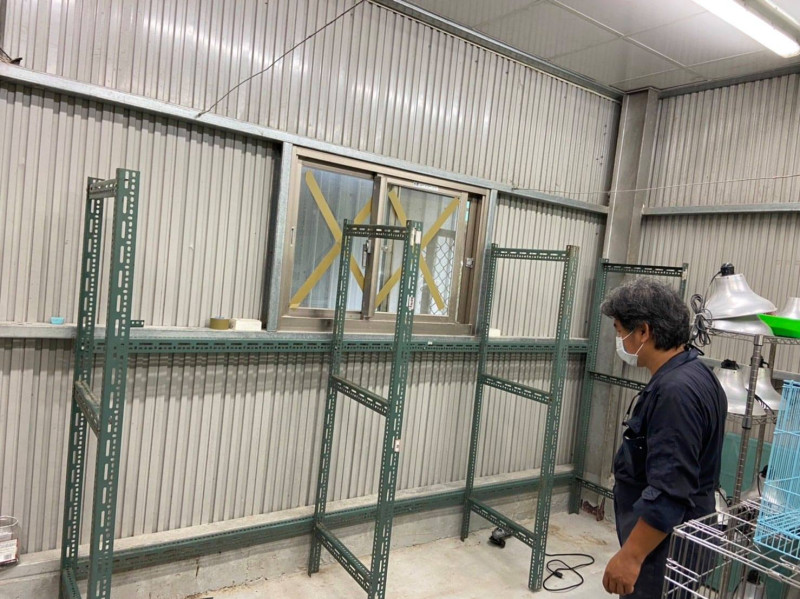 志工袁立榮正在規畫如何裁切與擺置貓籠鐵架。   圖：新北市動保處提供