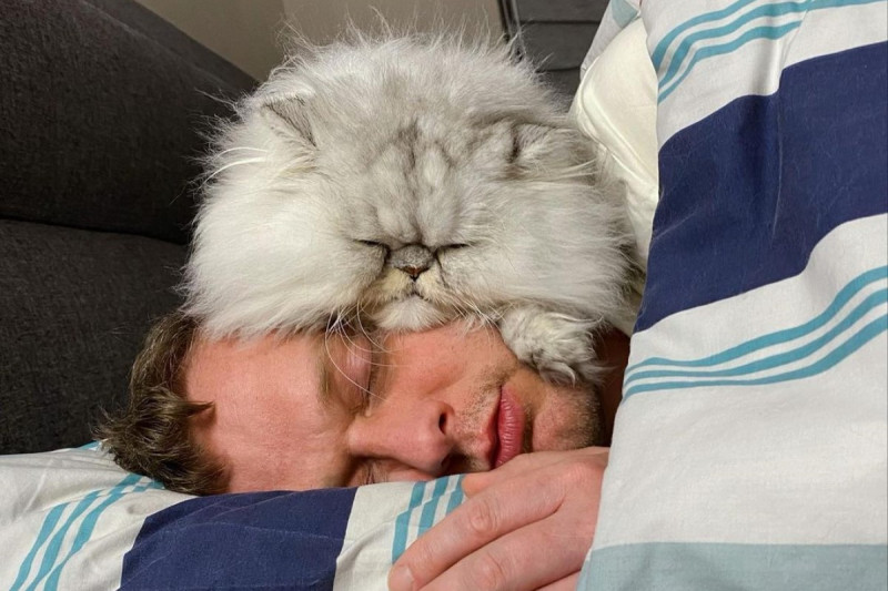 貓咪暖暖包？金吉拉趴滿奴才臉頰取暖：一起睡才幸福。   圖：翻攝自Instagram：eric_and_ollie_