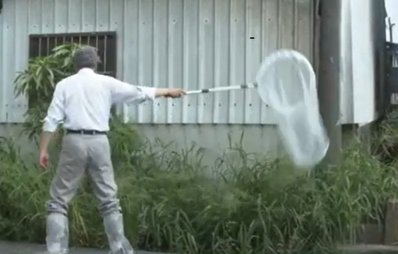 經由掃網動作捕捉蚊蟲以定期監測牧場。   圖：新北市動保處提供
