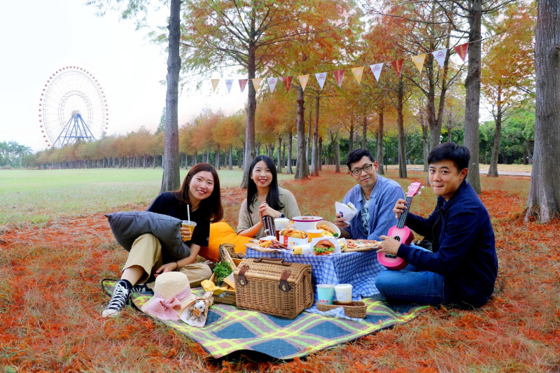 麗寶落羽松今年開放野餐。   麗寶樂園/提供