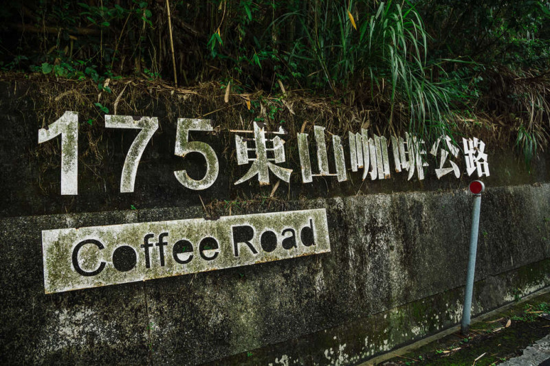 175東山咖啡公路。   圖：取自台南旅遊網