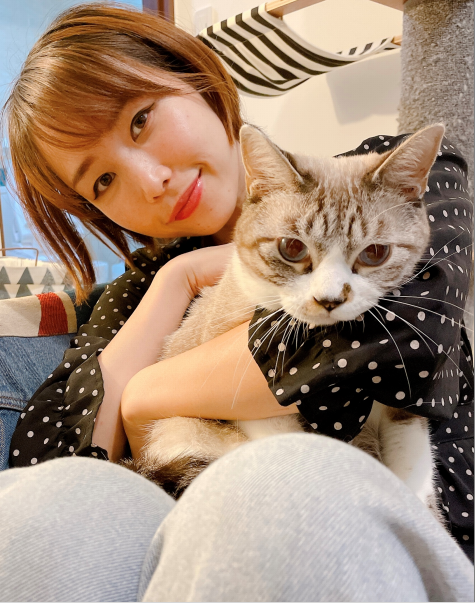 下坂未華將日本飼養的貓咪帶來台灣生活。   圖：新北市動保處提供