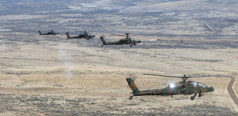 美日「堅毅之龍21」軍演，兩國AH-64攻擊直升機隊聯合操演。   圖：翻攝 Raptor Brigade推特