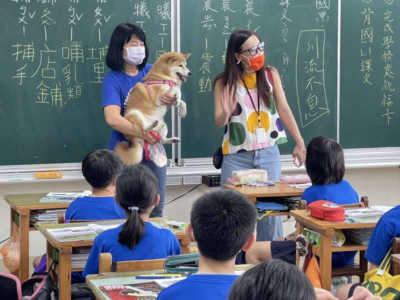 第3名為中山國小校犬「布丁」，今天我是主角，在課堂上當生命教育的助教。     圖：新北市動保處提供