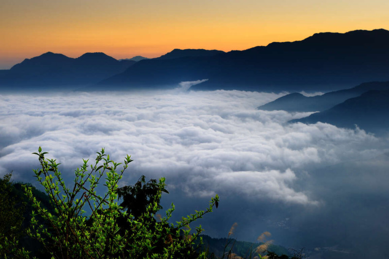 小笠原觀景台雲海。   圖：取自阿里山國家風景區管理處