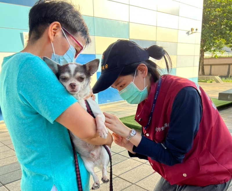 活動提供免費狂犬病疫苗注射與寵物晶片登記。     圖：新北市動保處提供