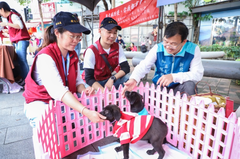 可愛犬貓認養互動區。   圖：新北市動保處提供