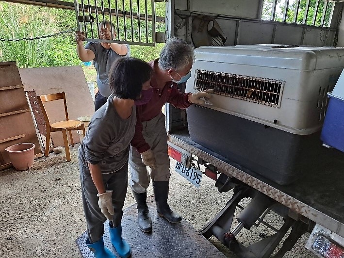 中華民國動物福利環保協進會工作人員依依不捨的和毛寶貝道別。   圖：新北市動保處提供