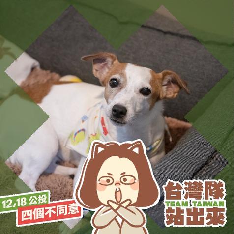搜救犬樂樂是蔡英文家今年的新成員，也是台灣的救災英雄之一。   圖：翻攝蔡英文臉書