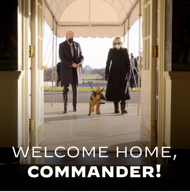 美國總統拜登（左）伉儷牽著新來的小狗進出白宮，滿臉慈愛。   圖：翻攝自拜登臉書影片