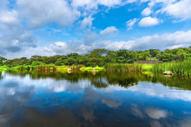 鹿角溪濕地除了淨化樹林區生活污水以外，也創造友善生態之水域環境。   圖：新北市水利局提供