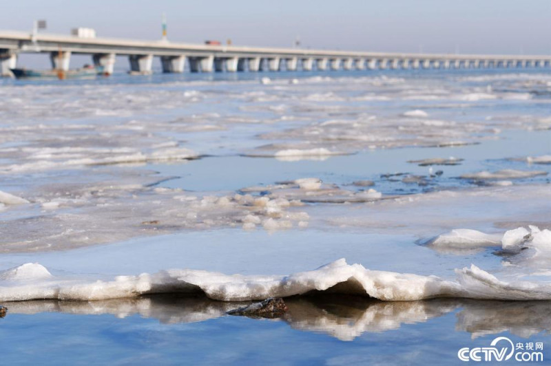 強烈寒流襲擊，山東青島膠州灣北岸跨海大橋海域海面出現大面積海冰。   圖：翻攝CCTV央視網