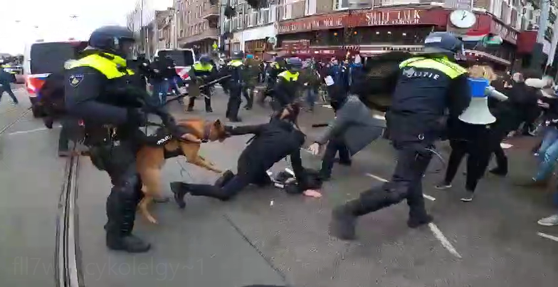 荷蘭首都阿姆斯特丹出現數千名反對政府防疫政策的示威者。警方到場後與示威者發衝突，放出警犬撕咬示威者。   圖 : 翻攝自環球網
