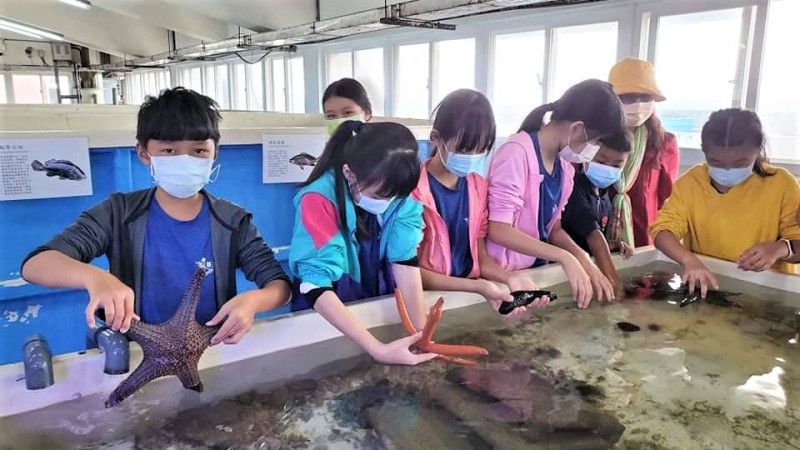 復育園區導覽活動深受民眾所喜愛的海洋生物零距離接觸體驗。   圖：新北市漁業處提供