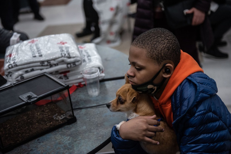 美國紐約市布朗克斯區1棟19層樓住宅發生大火，造成至少19人死亡，包括9名兒童，不少人在瞬間失去家人，1名少年緊抱愛犬，茫然面對未來。   圖：翻攝自紐約市長辦公室推特