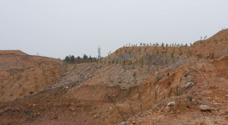 貴州省黃平縣麥巴鋁土礦植被修復相當敷衍。   圖 : 翻攝自紅星新聞