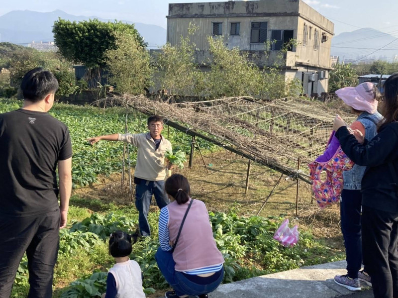 蕃婆林休閒農場-拔蘿蔔體驗解說。   圖：新北市農業局提供