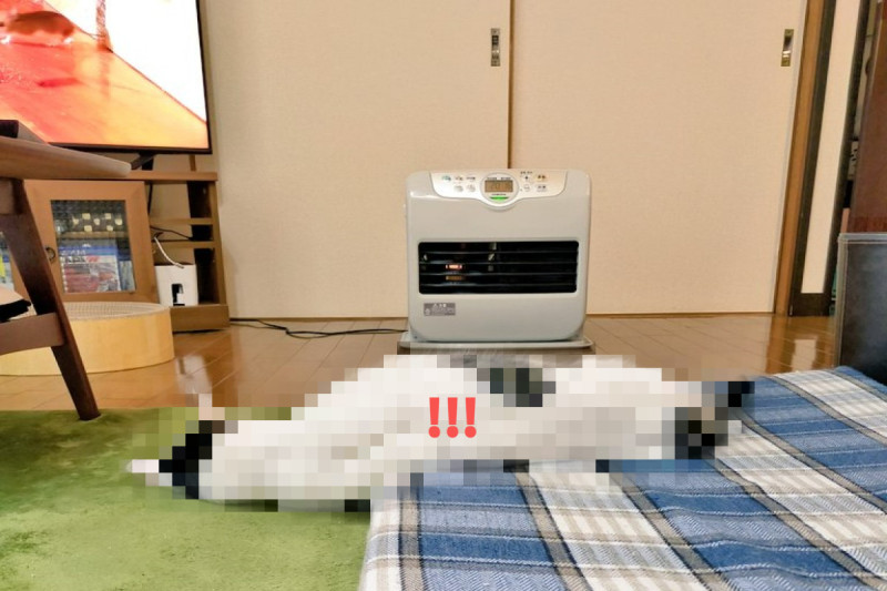 日本一名飼主在長墊上看見一條「流體生物」！   圖／Twitter帳號makotonoossan