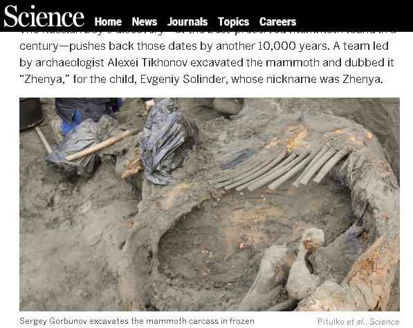 俄羅斯研究團隊在2012年於面向北極海的斷崖，發現了約4萬5千年前的猛瑪象的全身骨骼，改寫人類史。   圖：翻攝《科學》雜誌官網