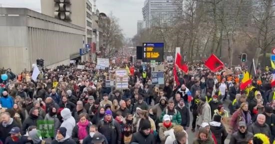 歐洲多國的抗議者聚集在布魯塞爾抗議歐盟的防疫限制措施。   圖 : 翻攝自推特