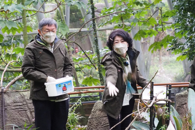 台北市長柯文哲與太太陳佩琪一起到台北市立動物園幫動物加年菜。   圖：台北市政府 / 提供