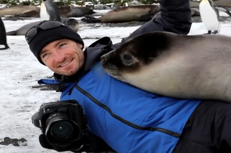 澳洲一對攝影師夫婦到南美一座島嶼進行野生動物拍攝時，被一隻小海豹壓住身體「狂蹭取暖」。   圖／IG帳號chrisbrayphotography