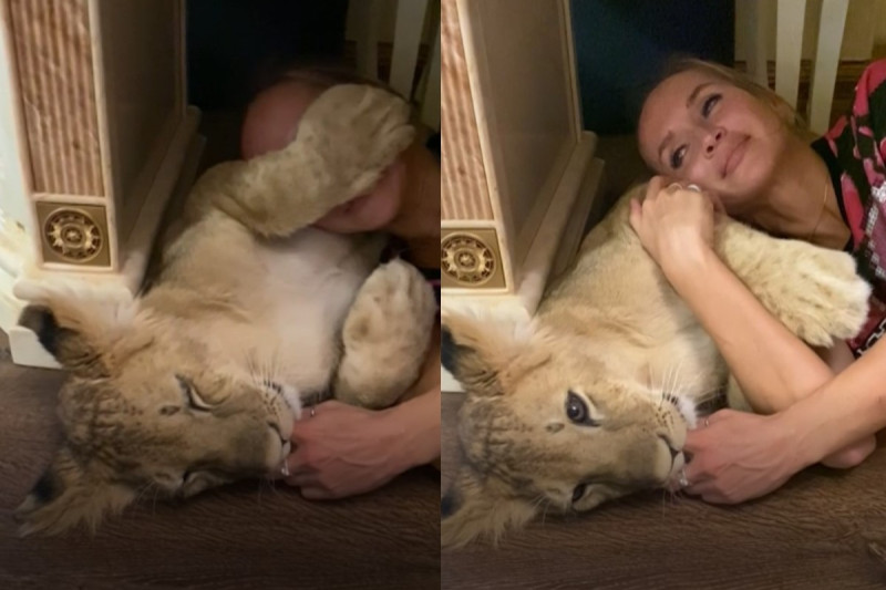 一名俄羅斯女子與小獅子一起打盹，小獅子發出「嘖嘖嘖」的聲音吸手手！   圖／AP＋Caters TV MRSS