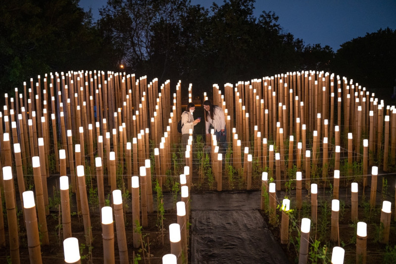 豌豆燈海迷宮提供特殊燈會體驗。   圖：高雄市觀光局提供