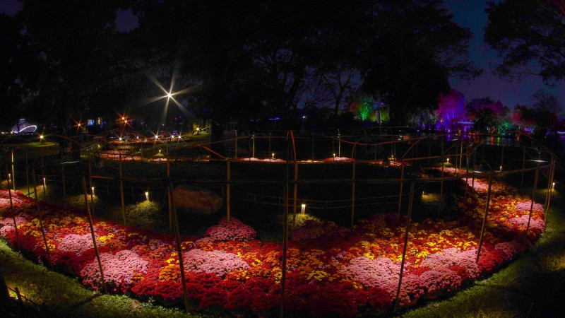 《菊花夜行軍》展現農作生命循環的生命力。   圖：高雄市觀光局提供