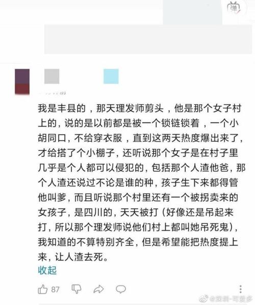 八孩母親事件被爆出後，中國許多網友回應爆料真相。   圖:翻攝自微博