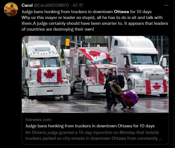 渥太華當地法院禁止於市區內鳴笛10天。   圖：翻攝自推特@Carol96208870