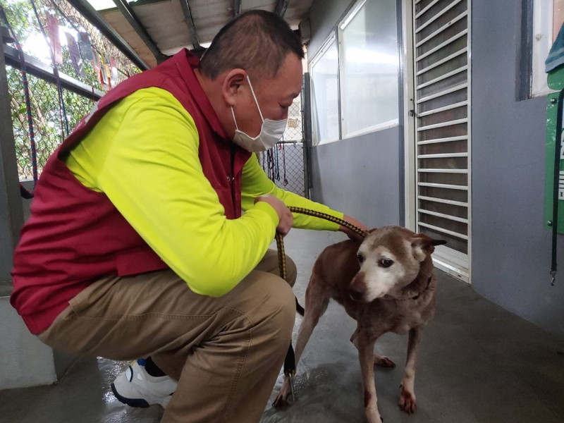 曾瑞堂訓練與動物溝通及接觸。   圖：新北市動保處提供