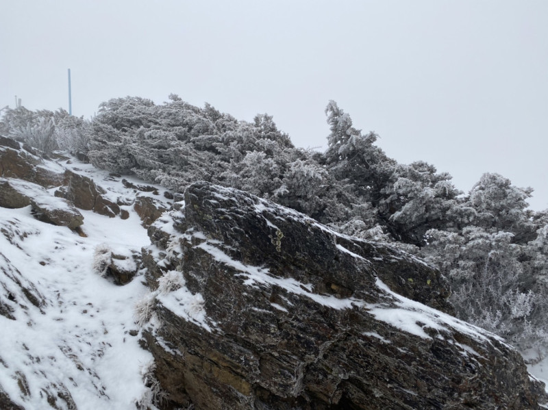 玉山自昨日下午開始降雪至今日清晨，整座山頭披上皚皚白雪。   圖：中央氣象局／提供