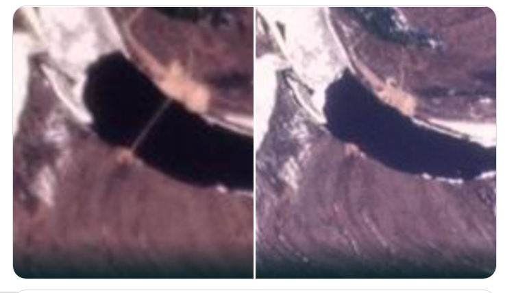 最新衛星圖片顯示，白俄羅斯與烏克蘭邊界附近的普里皮亞季河出現大型浮橋（左圖），   圖：翻攝自Amelia Smith推特
