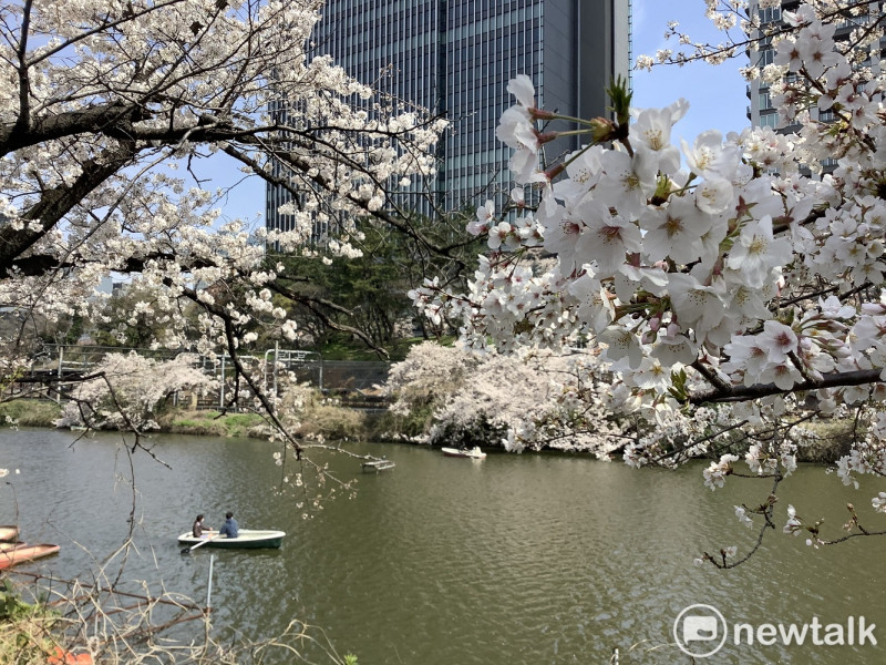 今年台灣人要來無望來日本櫻花旅，或許等賞楓。（圖為去年東京外壕景觀）   圖：劉黎兒攝