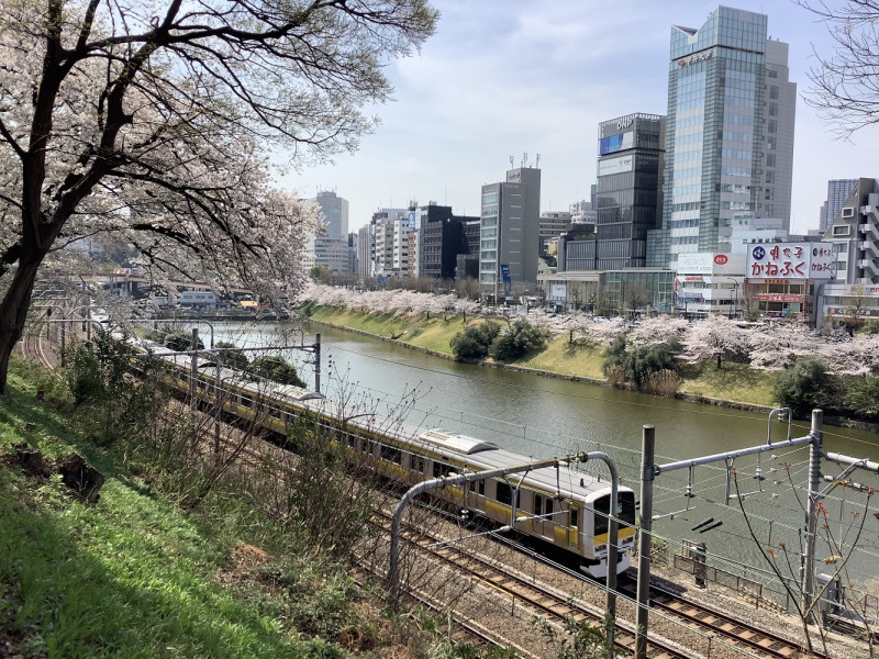 今年台灣人要來無望來日本櫻花旅，或許等賞楓。（圖為去年東京外壕景觀） 圖：劉黎兒攝