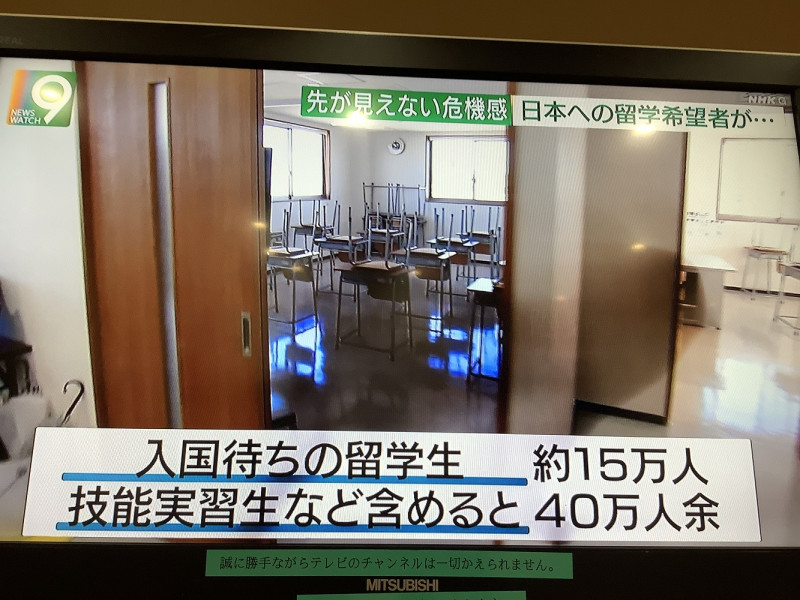 日本現在共有40萬人在日本國門外排隊中，單純計算都要80天以上才能進關，觀光不在其中，完全不是真正解封。 圖：攝自NHK新聞
