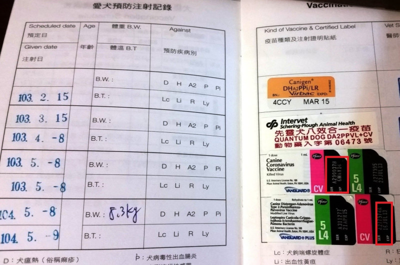 使用藥品須謹慎，故意使用過期動物用藥品治療動物或調劑，可被裁處3萬元至10萬元以下罰鍰。   圖：新北市動保處提供