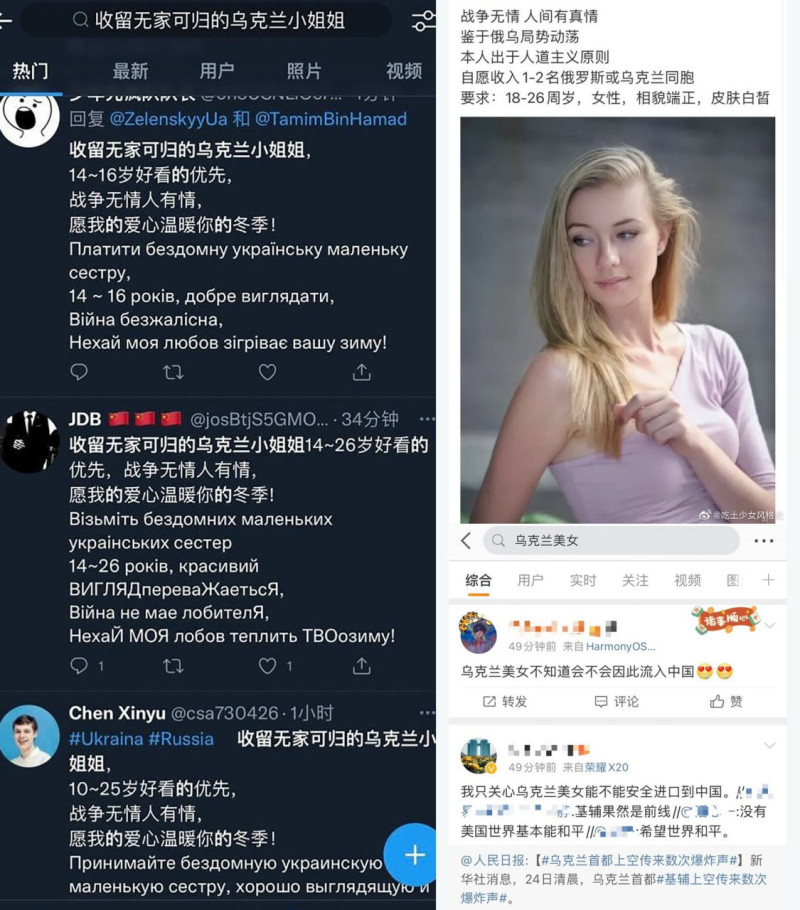 中國網友網路惡意留言。   圖：翻攝自推特