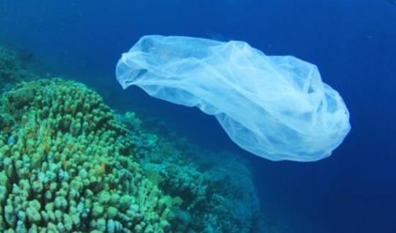 從近海漂向大洋，再深入極地，海洋微塑料在全球海域已廣泛分布。   圖：翻攝kknews.cc