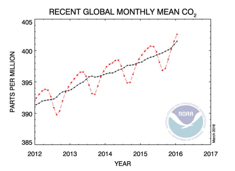 大氣中的二氧化碳含量隨著季節波動，但總體趨勢正逐年增加。   圖:翻攝Noaa