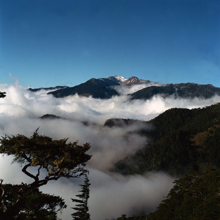 中研院生物多樣性中心沈聖峰研究團隊長年在台灣山區進行微尺度生態觀測。圖為台灣雪山圈谷。   圖:中研院提供/俞錚皞攝