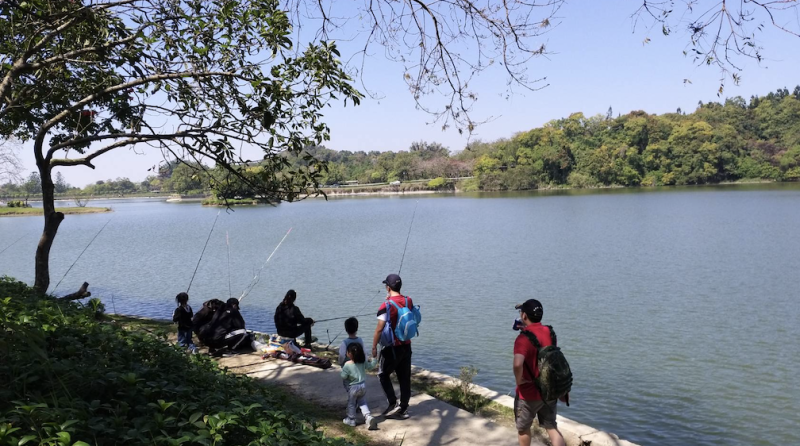 虎頭埤內釣魚風氣興盛。   圖：台南市政府觀光旅遊局/提供