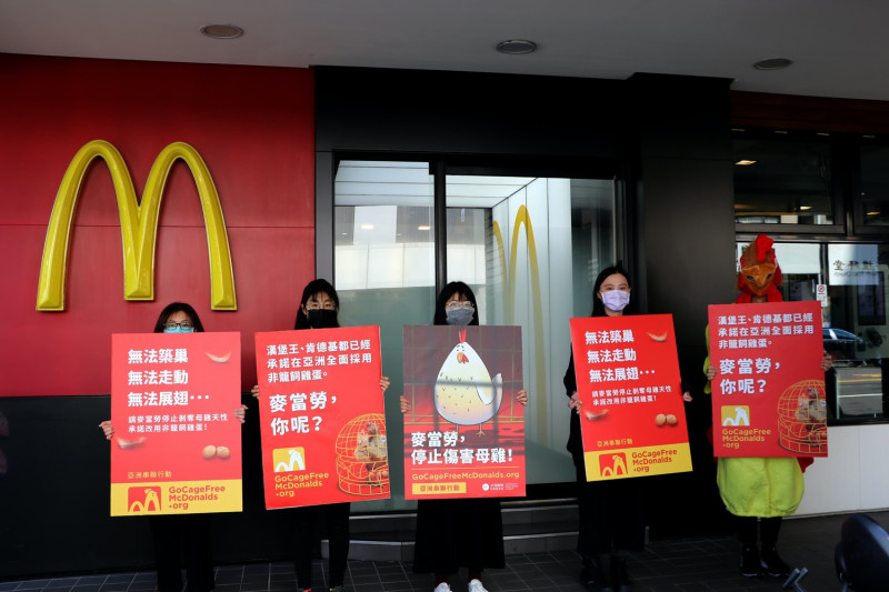 台灣行動者於台北手持舉牌表達不滿，要求麥當勞提出亞洲區域門市落實使用非籠飼雞蛋的期程。   圖：台灣動物社會研究會／提供