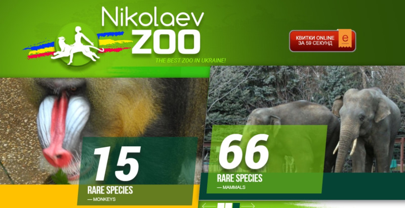 烏克蘭尼古拉耶夫動物園最早於1901年4月開始營運，是該國重要的國家動物園，根據資料顯示，擁有約5200多隻動物。   圖：翻攝自尼古拉耶夫動物園官網