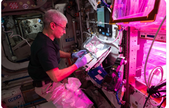美國太空人范德海將於月底回到地球。   圖：擷取自范德海Twitter