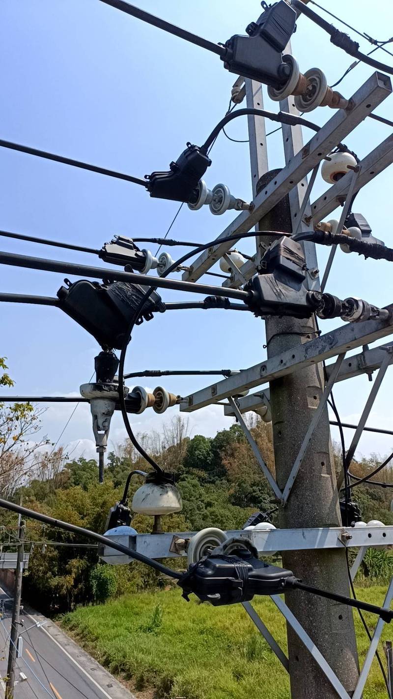 今日高雄大社、燕巢約有2000戶停電，疑似是一隻鳥意外碰觸帶電設備所致。   圖：台電／提供